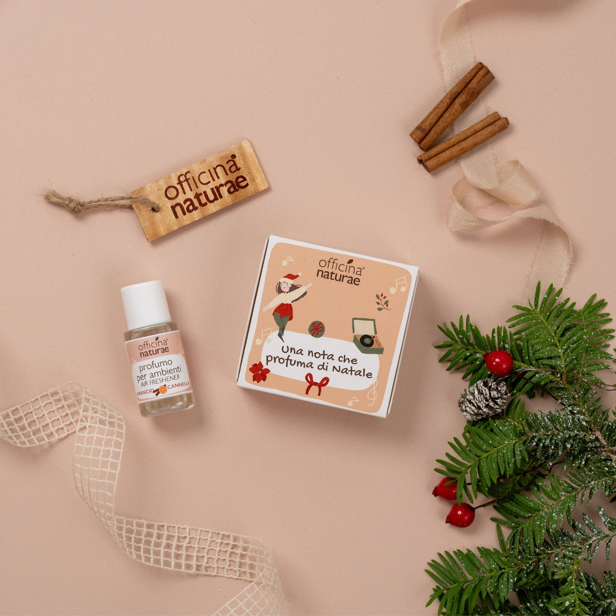 UNA NOTA CHE PROFUMA DI NATALE: Profumo Ambiente Arancio e Cannella 20 ml con diffusore in Legno